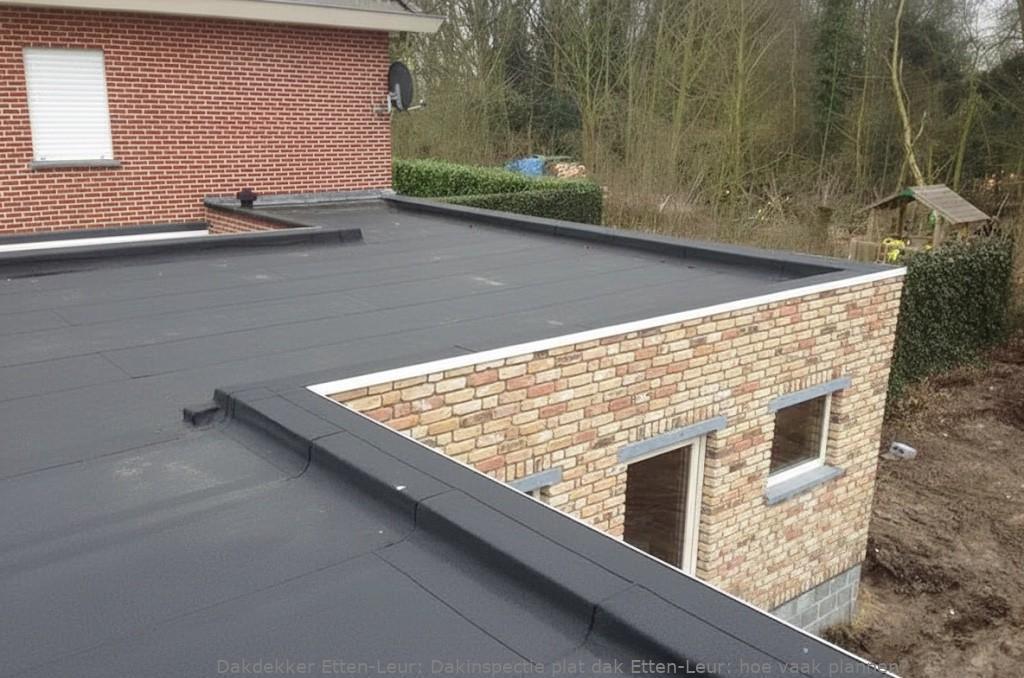 Dakinspectie Plat Dak Etten Leur