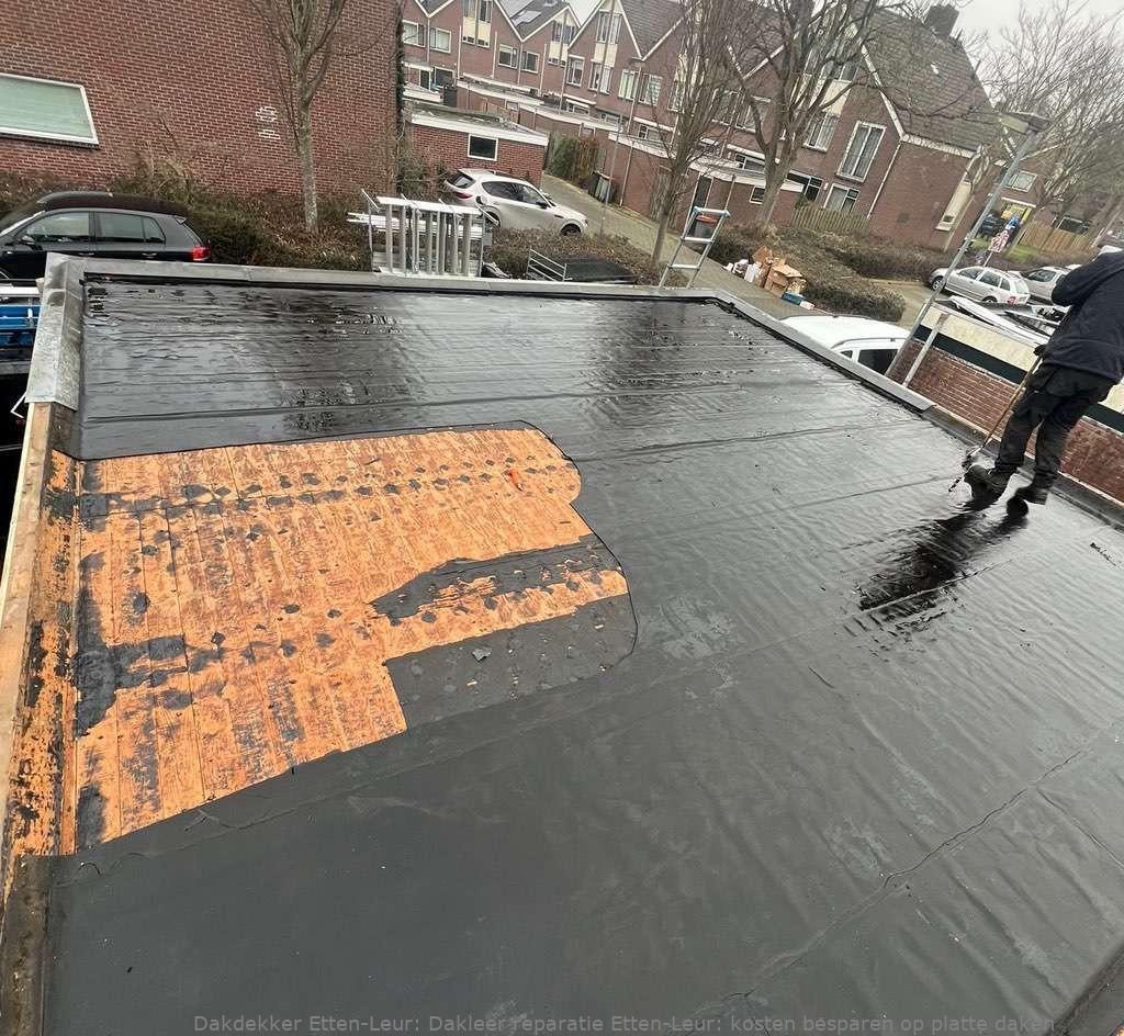 Dakleer Reparatie Etten Leur