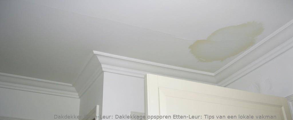 Daklekkage Opsporen Etten Leur