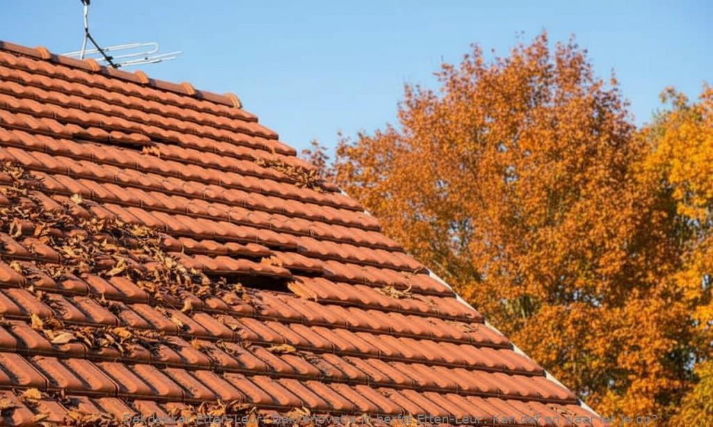 Dakrenovatie In Herfst Etten Leur