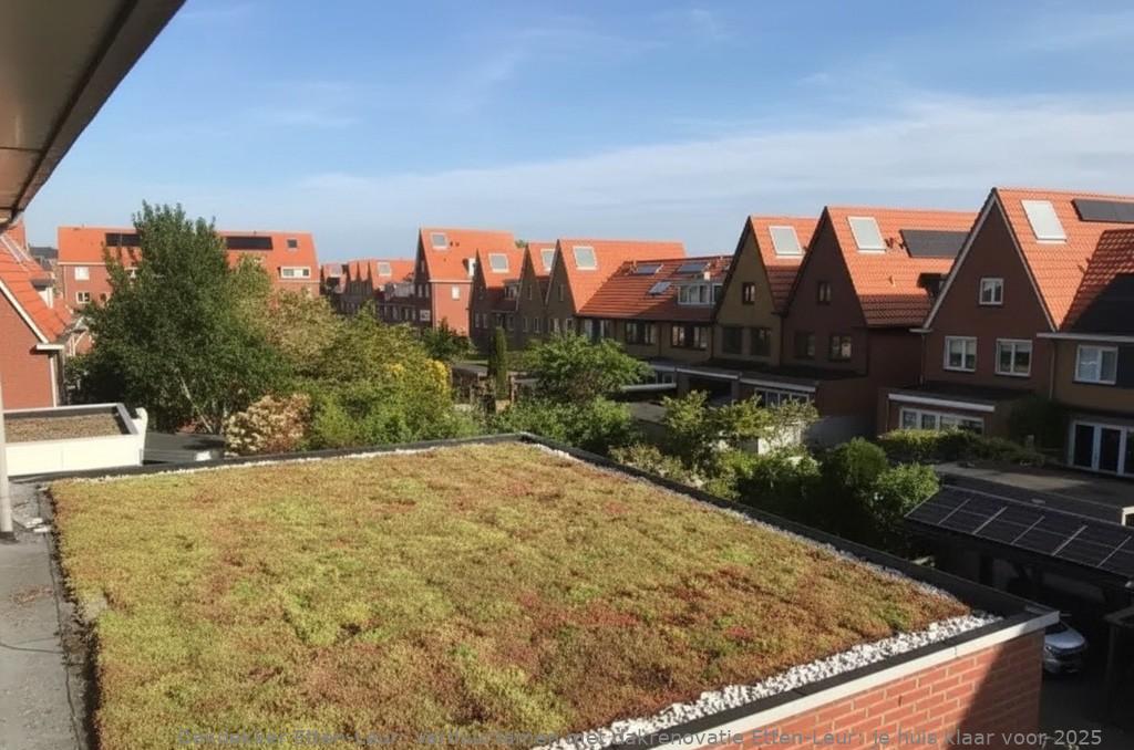 Verduurzamen Met Dakrenovatie Etten Leur